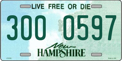 NH license plate 3000597