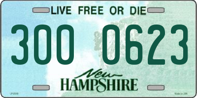 NH license plate 3000623