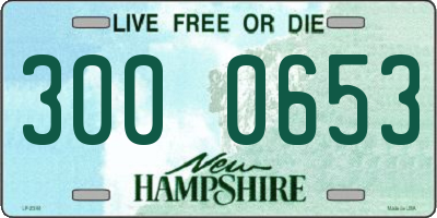 NH license plate 3000653