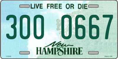 NH license plate 3000667