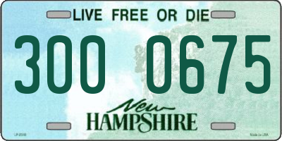NH license plate 3000675