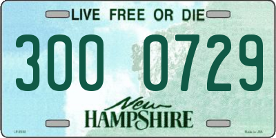 NH license plate 3000729