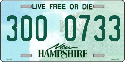 NH license plate 3000733