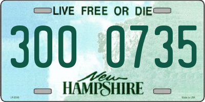 NH license plate 3000735