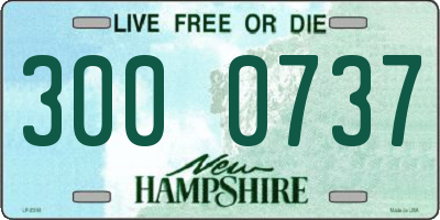 NH license plate 3000737