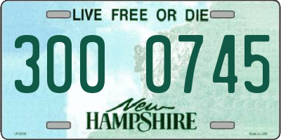 NH license plate 3000745
