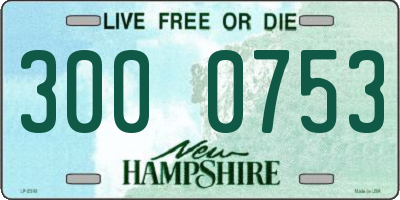 NH license plate 3000753