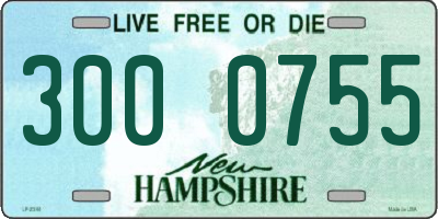 NH license plate 3000755