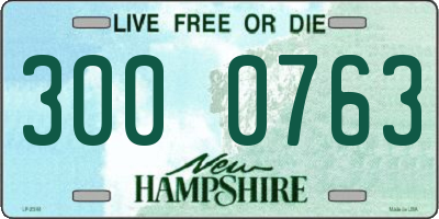 NH license plate 3000763
