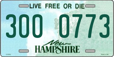 NH license plate 3000773