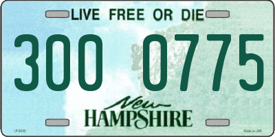 NH license plate 3000775