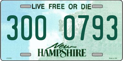 NH license plate 3000793