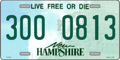 NH license plate 3000813