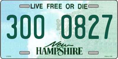 NH license plate 3000827