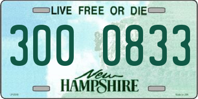 NH license plate 3000833