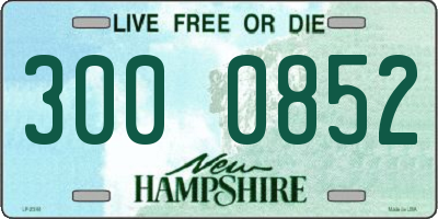 NH license plate 3000852
