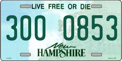 NH license plate 3000853