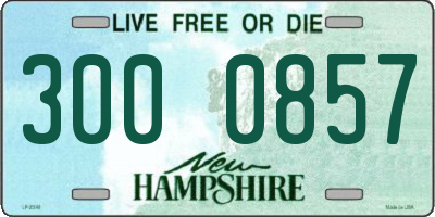 NH license plate 3000857