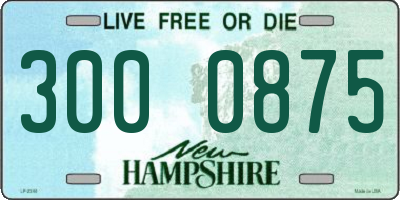 NH license plate 3000875