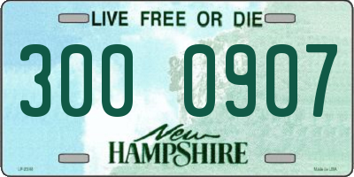NH license plate 3000907