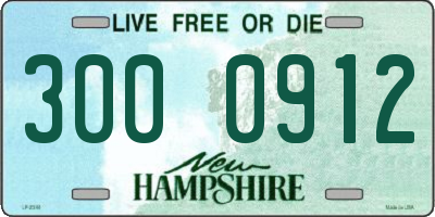 NH license plate 3000912