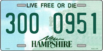NH license plate 3000951