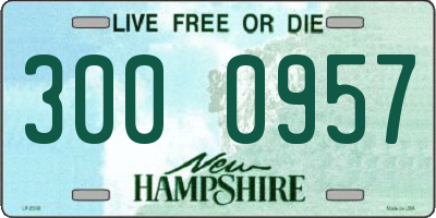 NH license plate 3000957