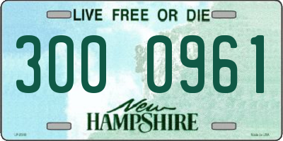 NH license plate 3000961