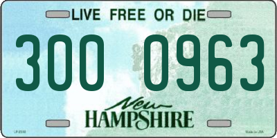 NH license plate 3000963