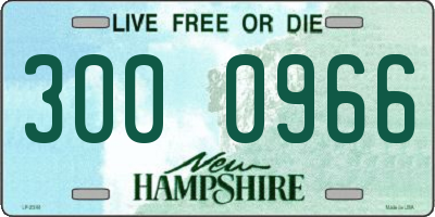 NH license plate 3000966