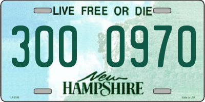 NH license plate 3000970