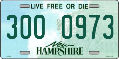 NH license plate 3000973