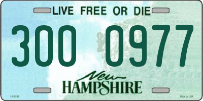 NH license plate 3000977