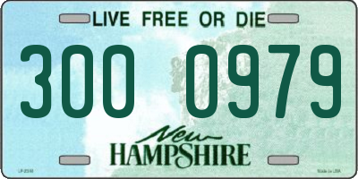 NH license plate 3000979