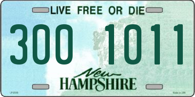 NH license plate 3001011