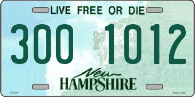 NH license plate 3001012