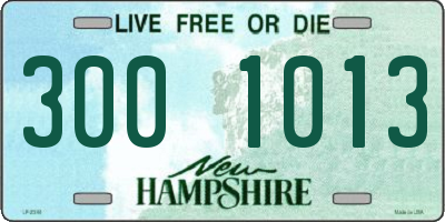 NH license plate 3001013