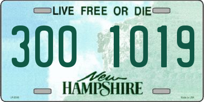 NH license plate 3001019