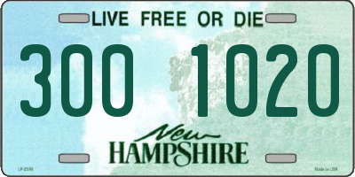 NH license plate 3001020