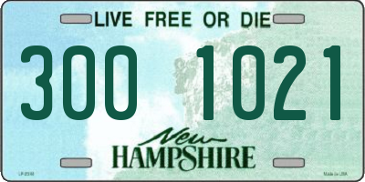NH license plate 3001021