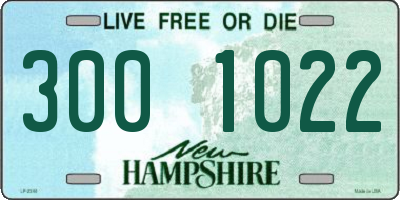 NH license plate 3001022
