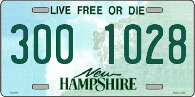 NH license plate 3001028