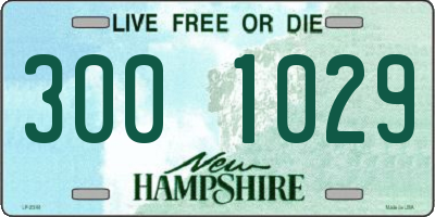 NH license plate 3001029