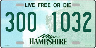 NH license plate 3001032