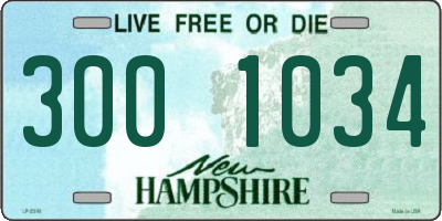 NH license plate 3001034