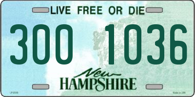 NH license plate 3001036