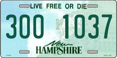 NH license plate 3001037