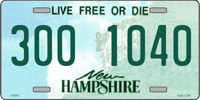 NH license plate 3001040