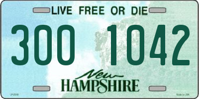NH license plate 3001042