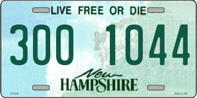 NH license plate 3001044